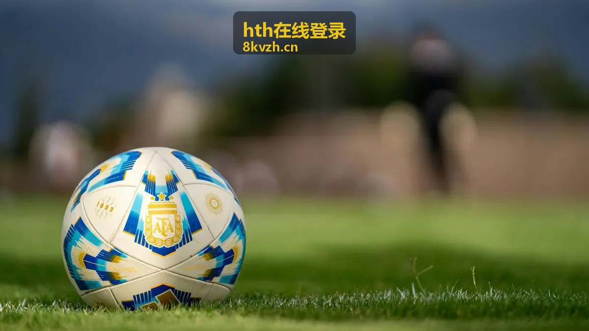 hth在线登录 电脑端登录操作示意
