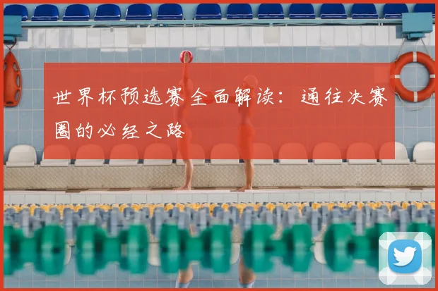 世界杯预选赛全面解读:通往决赛圈的必经之路