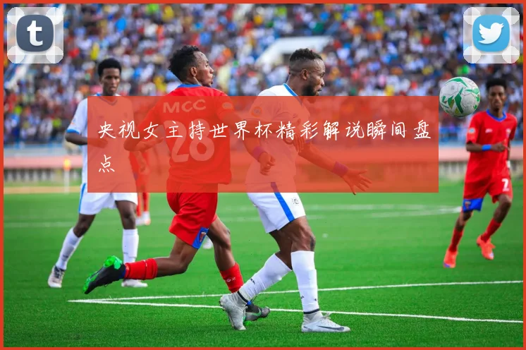 央视女主持世界杯精彩解说瞬间盘点