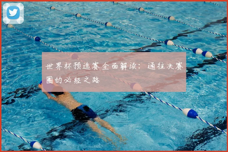 世界杯预选赛全面解读：通往决赛圈的必经之路