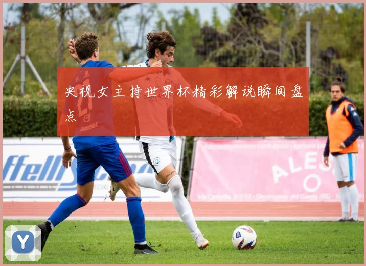央视女主持世界杯精彩解说瞬间盘点